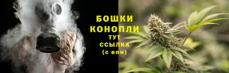 Бошки марихуана OG Kush  Новокубанск 